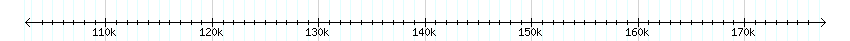 __scale__ detail