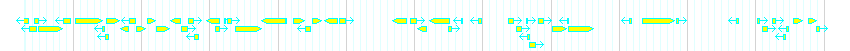 Genes detail