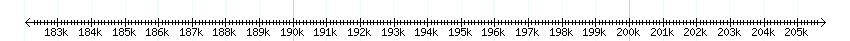 __scale__ detail