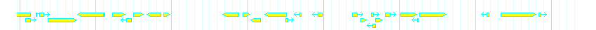 Genes detail
