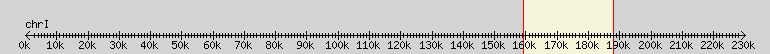 __scale__ overview