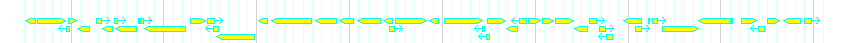 Genes detail