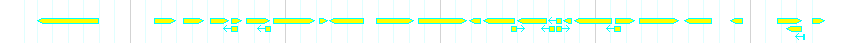 Genes detail