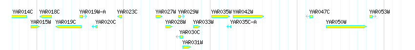 Genes detail