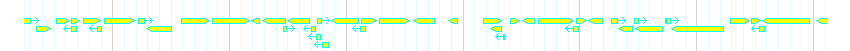 Genes detail