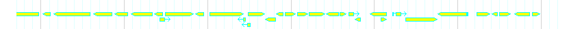 Genes detail