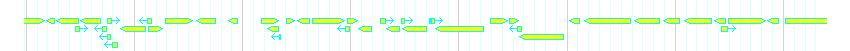Genes detail