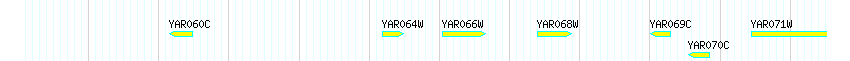 Genes detail
