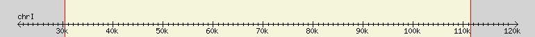 __scale__ region