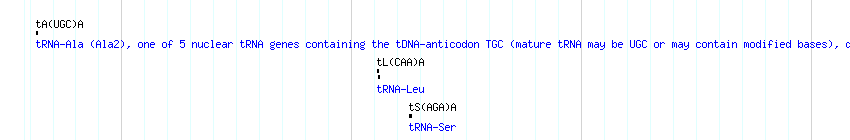 tRNAs detail
