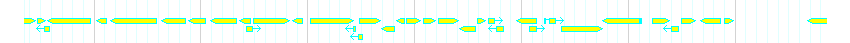 Genes detail