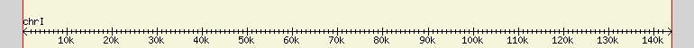 __scale__ region