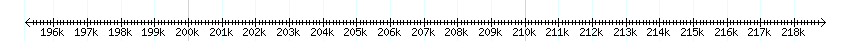 __scale__ detail
