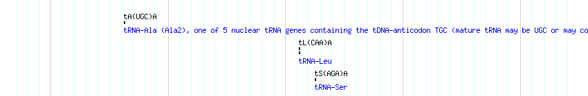 tRNAs detail