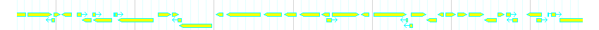 Genes detail
