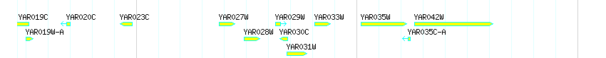 Genes detail