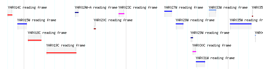 CDS detail