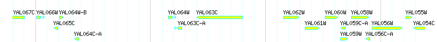 Genes detail