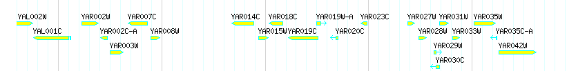 Genes detail