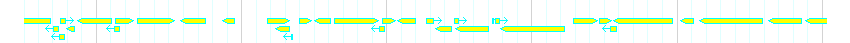 Genes detail