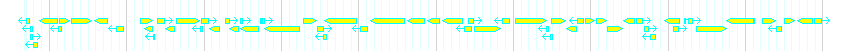Genes detail
