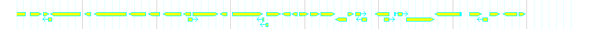 Genes detail