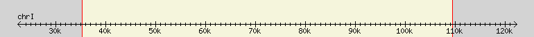 __scale__ region