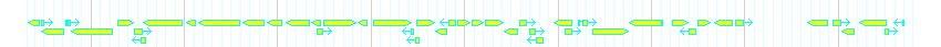 Genes detail
