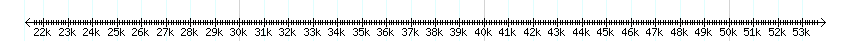 __scale__ detail