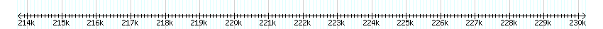 __scale__ detail