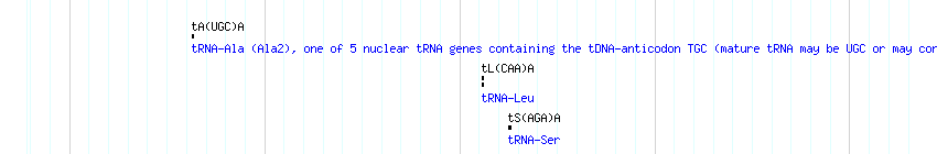 tRNAs detail