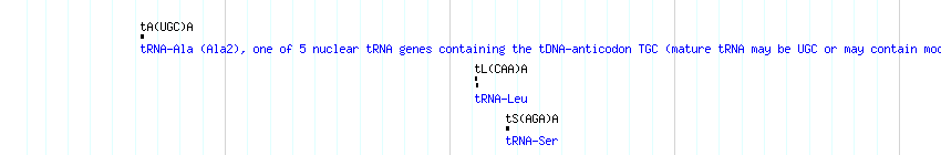 tRNAs detail