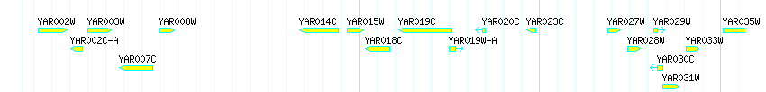Genes detail