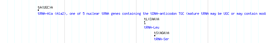 tRNAs detail