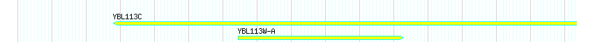 Genes detail
