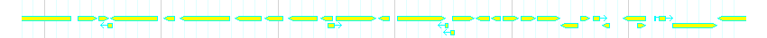 Genes detail
