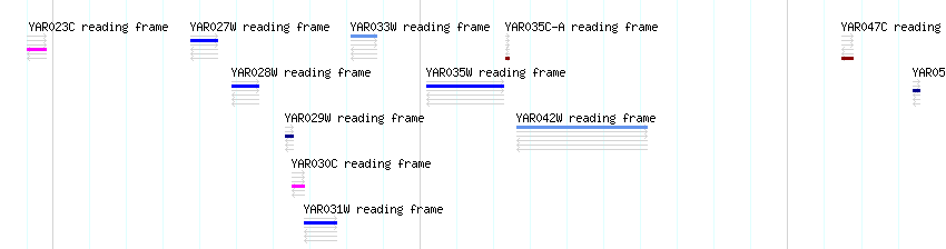 CDS detail