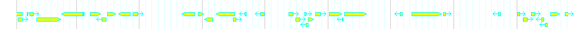 Genes detail
