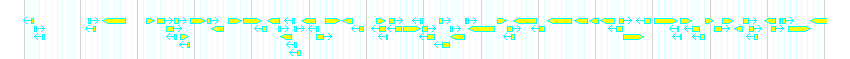 Genes detail