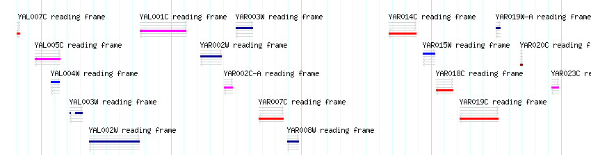 CDS detail