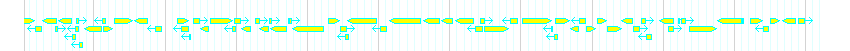 Genes detail