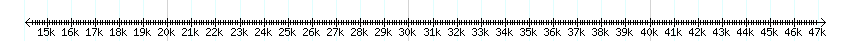 __scale__ detail