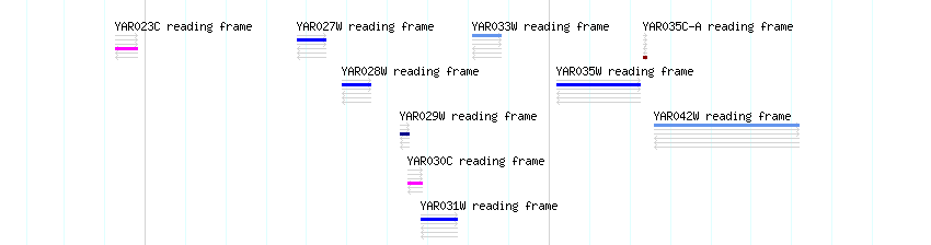 CDS detail