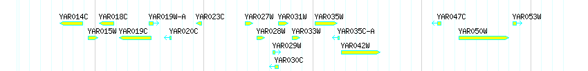 Genes detail