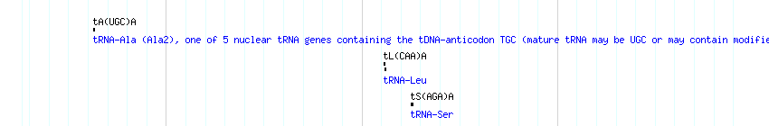 tRNAs detail