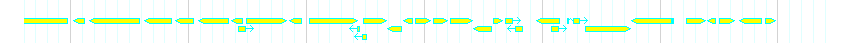 Genes detail