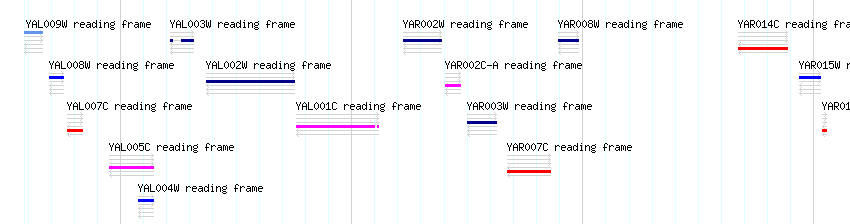 CDS detail