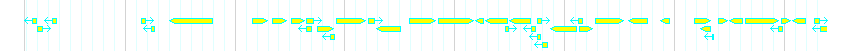 Genes detail