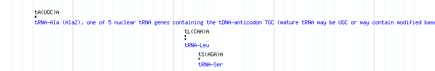 tRNAs detail