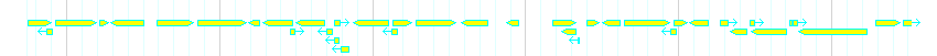 Genes detail